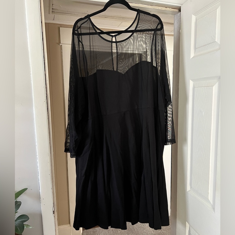 Sheer Top Fit and Flare Dress